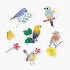 作品小鳥のカード［mini］7種セットLovely Birding　