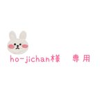 作品ho-jichan様 専用