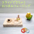 作品スライドできちゃう♪　おつまみフォージング♡　インコ　おもちゃ