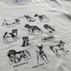 作品Tシャツ（イヌスケッチ Lサイズ）