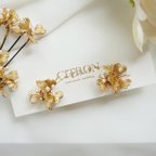 作品［ sample sale ］gold flower petit earrings