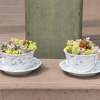 作品多肉植物 寄せ植え そのまま飾れる(*ˊ˘ˋ*)。♪:*° 絵画風鉢