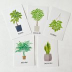 作品ポストカードセット ▶︎ 植物
