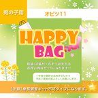作品【数量限定】オビツ11／男の子用<HAPPY BAG>