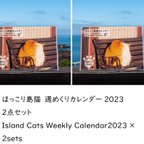 作品ほっこり島猫 週めくりカレンダー2023　2点セット（Island Cats Weekly Calendar2023×2sets）