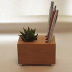 作品Desk Organizer "Succulent" 60