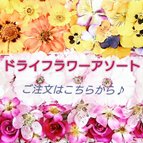 作品ドライフラワーアソート 花材詰め合わせ