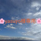 作品🌸🐉【yasuyo様専用】🐉🌸