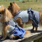 作品＊犬服おしゃれハーネス＊