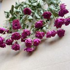 作品SALE！　1点限り！薔薇ドライフラワー　ドライフラワー花材　レジン花材　リース花材　キャンドル花材　