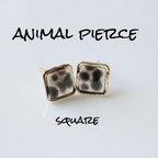 作品animal pierce(square)