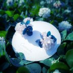 作品シロツメクサの花飾り ピアス・イヤリング
