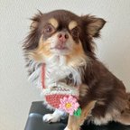 作品犬用＆猫用  桜かごバッグ🌸お散歩 お出かけ インスタ映え お花見 新学期