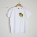 作品p-jet　コザクラインコ  Tシャツ  /  鳥 インコ