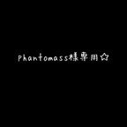 作品phantomass様専用☆