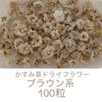 作品ブラウン系 かすみ草ドライフラワー100粒