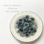 作品かすみ草　D ブラック　ドライフラワー 　染め　花材　DIY　黒