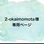 作品2-okaimomota様専用ページ