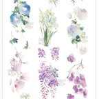 作品水彩　紫系  アサガオ アジサイ。。。お花のマスキングテープ　PET