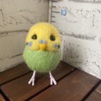 作品羊毛フェルト  インコ ちょっとぽっちゃりインコちゃん