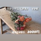 作品ヘリクリサム（赤系）10束売り