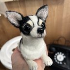 作品愛犬そっくり人形(Sサイズ)オーダー作品:スムースチワワ