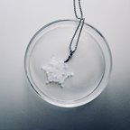 作品雪の結晶　標本ネックレス