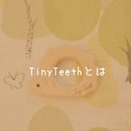 作品Tiny Teeth(ティーニー ティース)とは