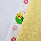 作品インコの刺繍半襟【お花見さんぽ】