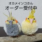 作品小鳥ぽんぽん オカメインコさん