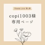 作品Copi1003様 専用ページ ❁⃘*.ﾟ