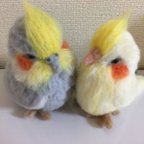 作品仲良しオカメインコちゃん