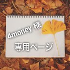 作品4money様★専用ページ