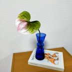 作品~POP!!!~グリーンピンクのアンスリウムとアート花瓶セット