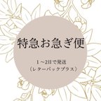 作品オプション＿特急お急ぎ手数料