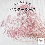 作品大地農園！プリザーブドフラワー「ミニカスミ草 パウダーローズ 10g」プリザ カスミ草 カスミソウ 花材 ハーバリウム おしゃれ かわいい プレゼント 贈り物 オオチノウエン