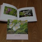 作品フォトブック「野の花の写真」