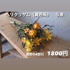 作品ヘリクリサム（黄色系）5束売り