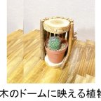 作品自然の木を活かした植木鉢台