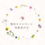 作品※リピーター様限定キャンペーン※