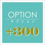 作品（追加オプション用：300円）