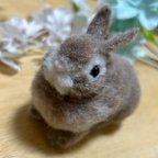 作品【送料無料】羊毛フェルト🐰うさぎ(ネザーランドドワーフ)