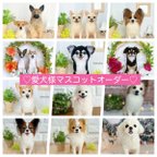 作品羊毛フェルト ウチの子マスコット　オーダーお受けページ ♡ 愛犬  オーダーメイド  人形