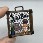 作品ミニわんこBOX(柴犬)