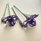 作品 knot「花」菖蒲の花と蕾　花シリーズ