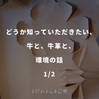 作品牛革って環境的に使っていいの？を解消します。1/2