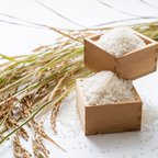作品 令和3年度産米🌾長崎県認定特別栽培米にこまる１㎏🌾宮下さんちのおいしいお米