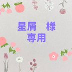 作品星屑様 専用🌺