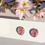 作品本物の桜 「さくら咲く 耳飾り」 自家製ドライフラワー使用　ピンク×透明が美しい　金具変更無料(イヤリング、チタンピアス) アレルギー対応 オフィスアクセサリー🌸 レジン ハンドメイドアクセサリー