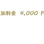 作品オーダー追加料金 4,000 円